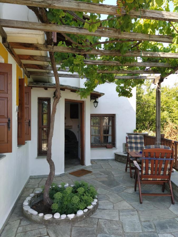 Villa Katerina Tsagarada Exterior photo